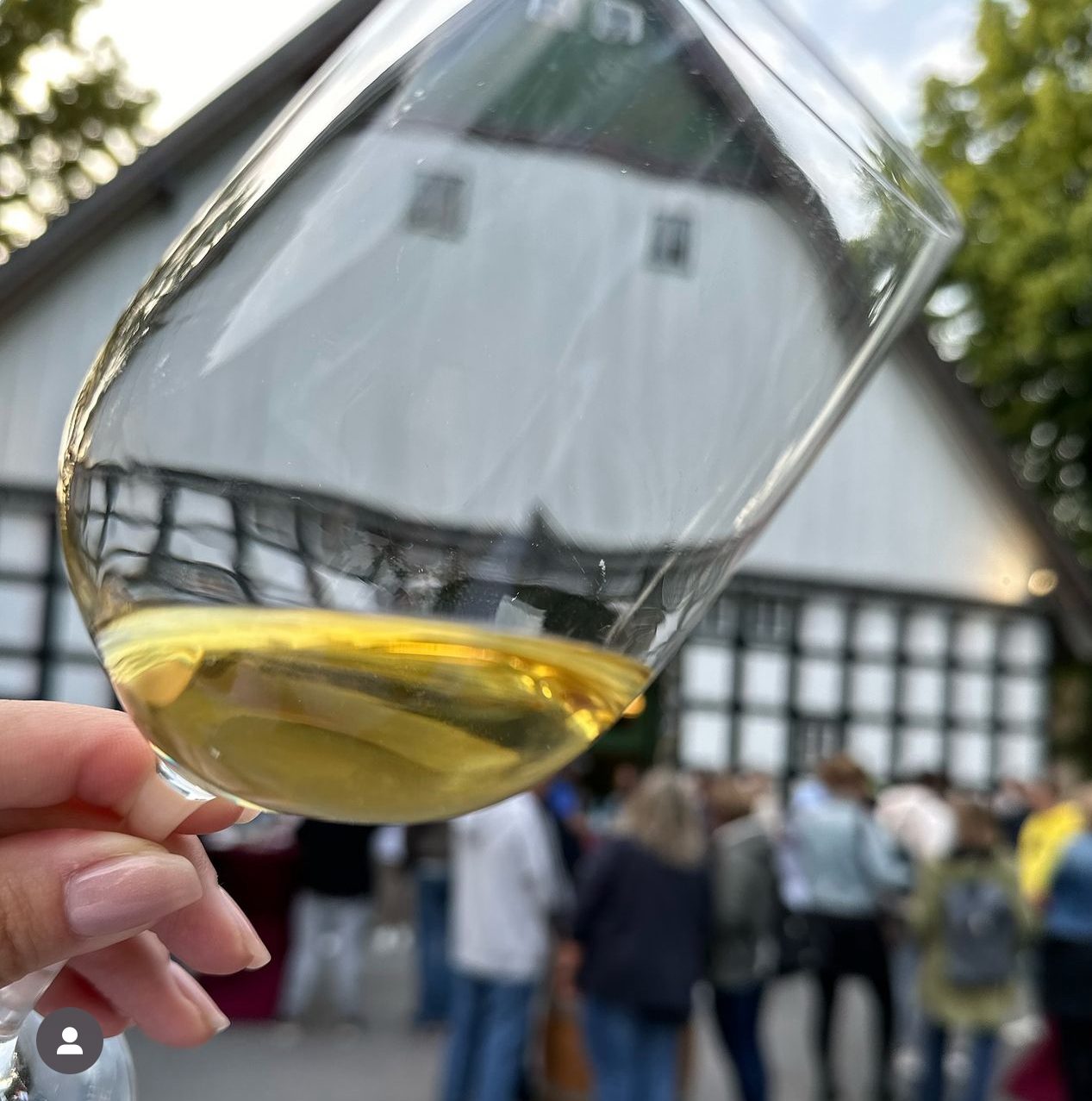 Weinreise mit Freunden, Familie & Kollegen