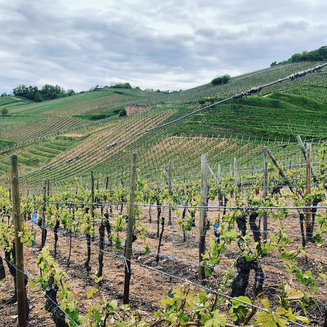 Steillage