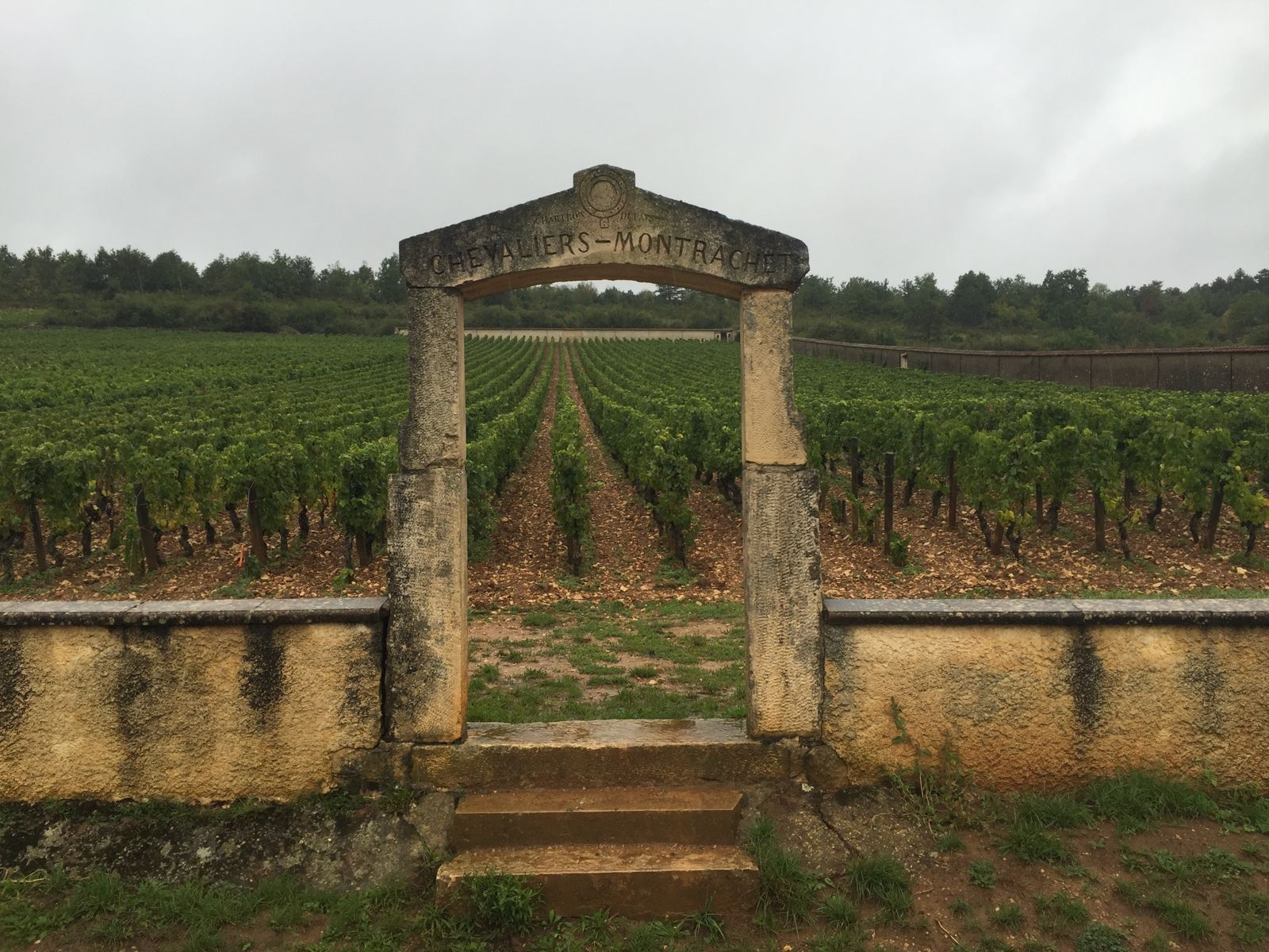 Burgund