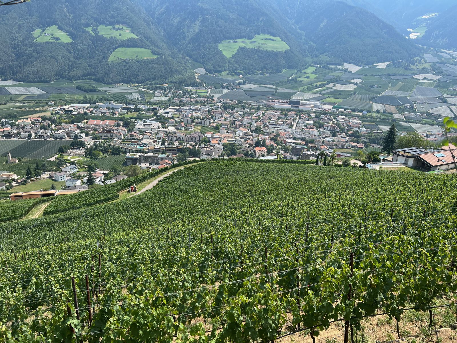 Alpenpanorama