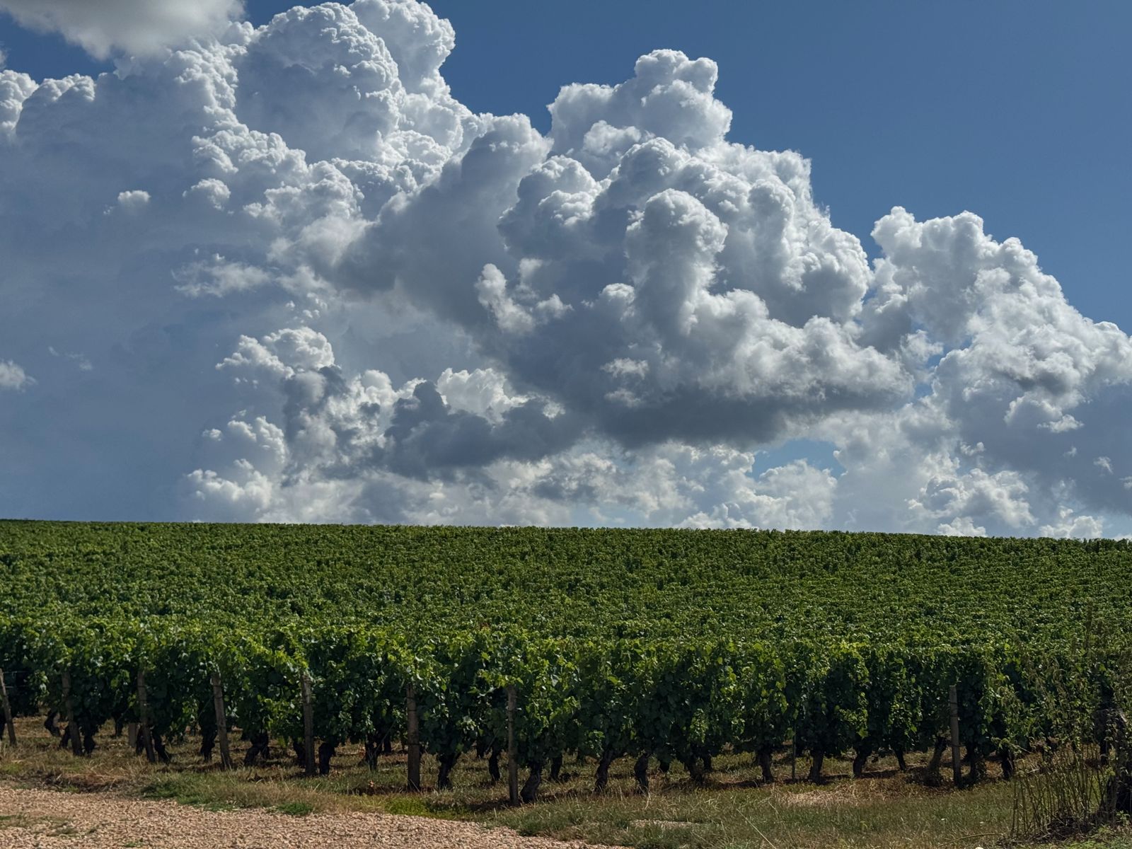 Sommerwolken