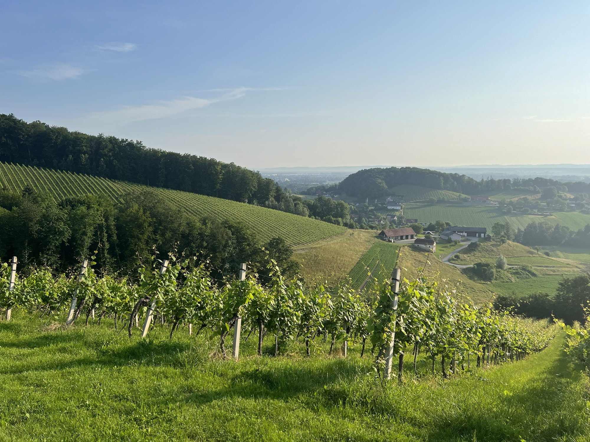 Unterwegs in den Weinbergen